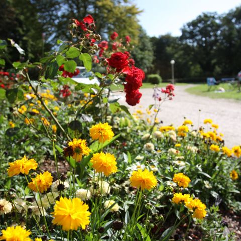 Camping de Kerisole*** - Camping Finistère - Image N°2