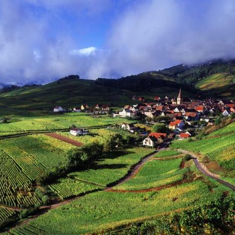 Village vacances - La Petite Pierre - Camping Bas-Rhin - Image N°4