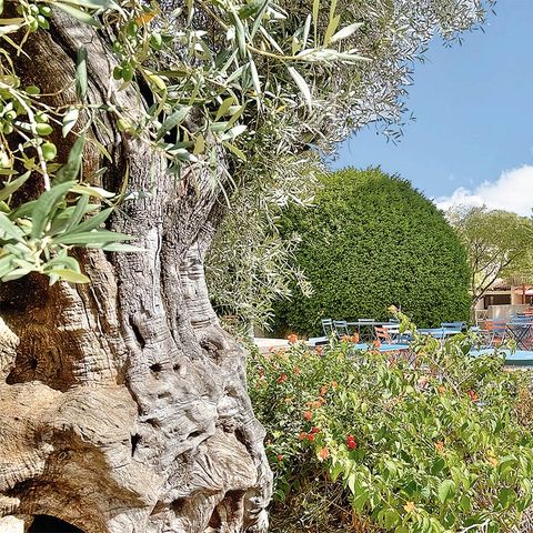 Club Belambra Les Terrasses de St Paul-de-Vence - Camping Alpes-Maritimes