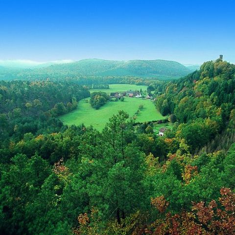 VVF Villages - Les Vosges du Nord - Bitche - Camping Moselle - Image N°4