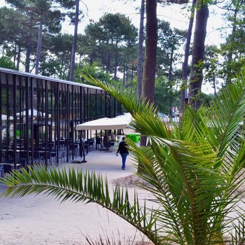 VVF Villages - Le Cap Ferret - Lège-Cap-Ferret - Camping Gironde - Image N°3