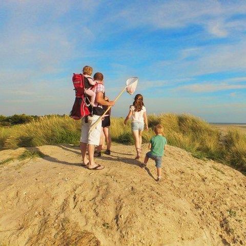 VVF Villages - Les îles Anglo-Normandes - Portbail VVF Villages - Les îles Anglo-Normandes - Portbail - Camping Manche - Image N°6