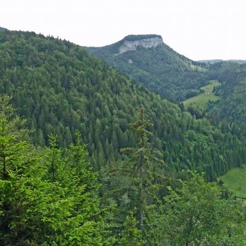 VVF Villages - Jura les Rousses - Prémanon - Camping Jura