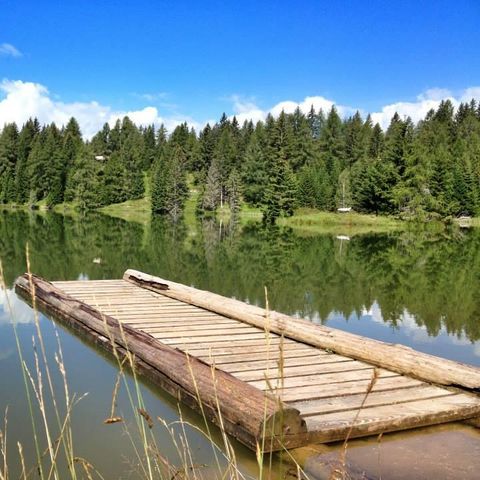 Camping Park Baita Dolomiti and Village Camping Park Baita Dolomiti and Village - Camping Rome - Image N°5