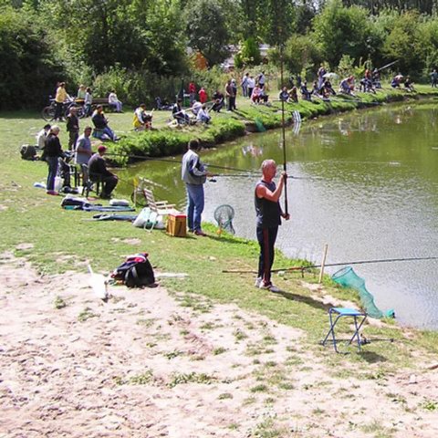 CARAVANING L'OREE DU BOIS - Camping Pas-de-Calais - Image N°6