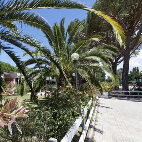 Camping Village Oasi Camping Village Oasi - Camping Grosseto - Image N°2