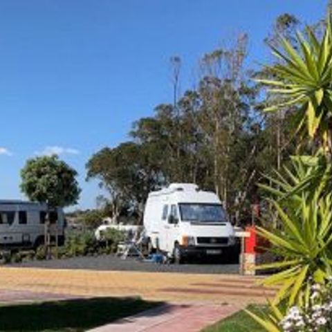 Camping Costa do Vizir Camping Costa do Vizir - Camping Alentejo - Image N°5