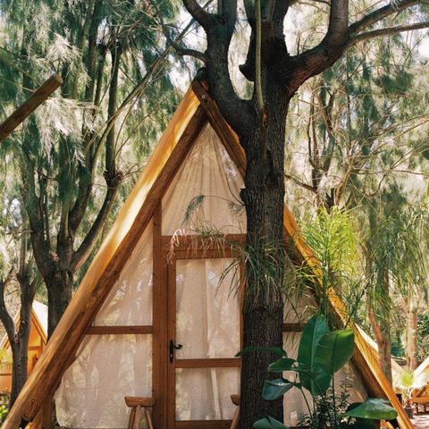 Camping Taiga Tarifa Camping Taiga Tarifa - Camping Cadix - Image N°5