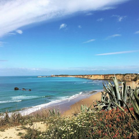 Camping Taiga Tarifa Camping Taiga Tarifa - Camping Cadix - Image N°2