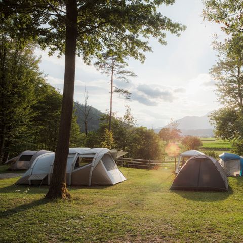 Forest Camping Mozirje - Camping Slovenie - Image N°4