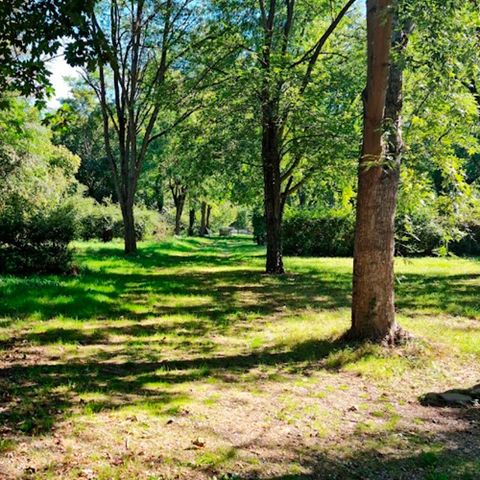 Camping Vert Lavande - Camping Aveyron - Image N°5