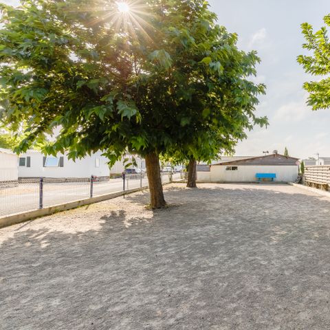 Camping de la Baie Camping de la Baie - Camping Vendée - Image N°3