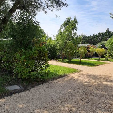 Camping Verbela Village Camping Verbela Village - Camping Bouches-du-Rhône - Image N°5