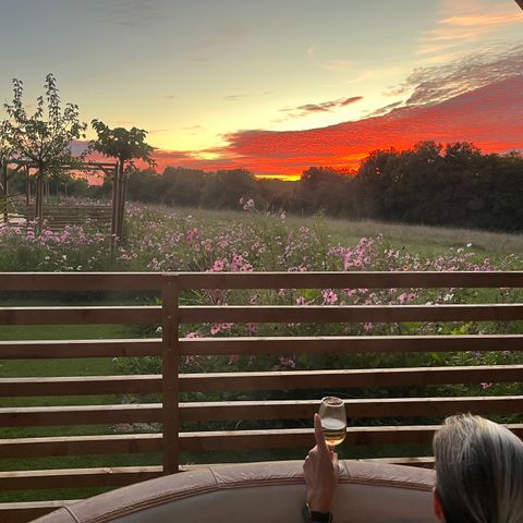 La Buissonnière Lodges - Camping Indre-et-Loire - Image N°5