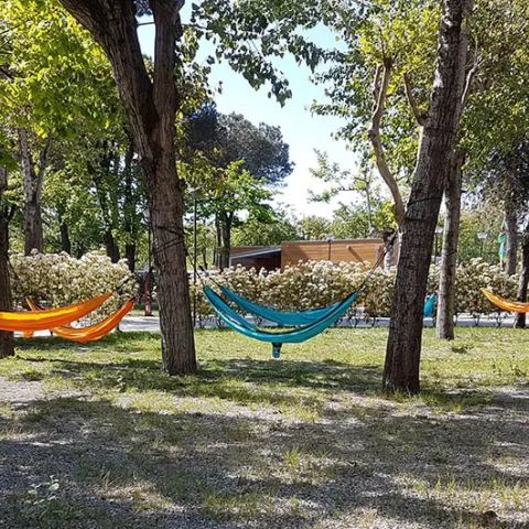 Camping Taimi - Camping Massa-Carrara - Image N°5