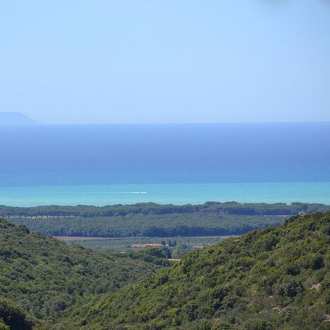 Villaggio Blucamp - Camping Livourne - Image N°5