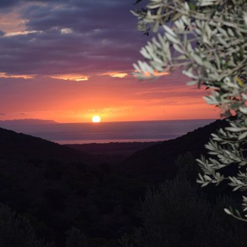 Villaggio Blucamp - Camping Livourne - Image N°6