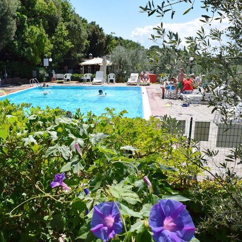 Villaggio Blucamp - Camping Livourne - Image N°2