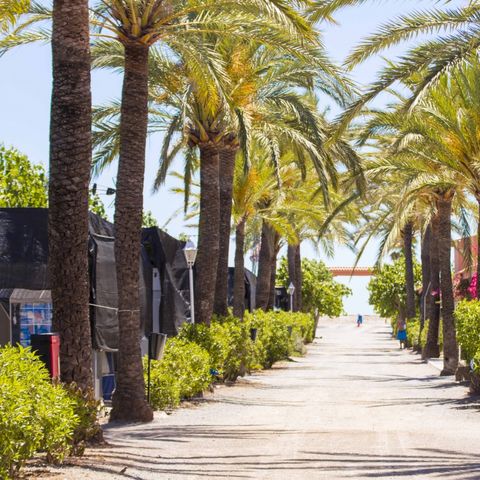 Camping le Chilches - Camping Castellón - Image N°6