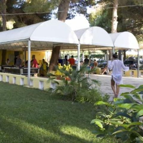 Camping la Vecchia Torre Camping la Vecchia Torre - Camping Lecce - Image N°2