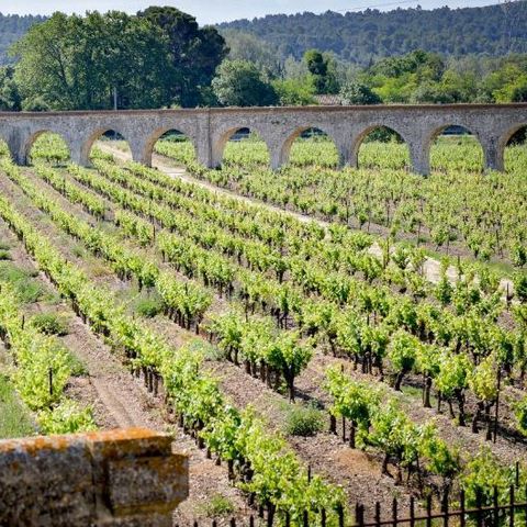 La Résidence du Château de Jouarres La Résidence du Château de Jouarres - Camping Aude - Image N°6