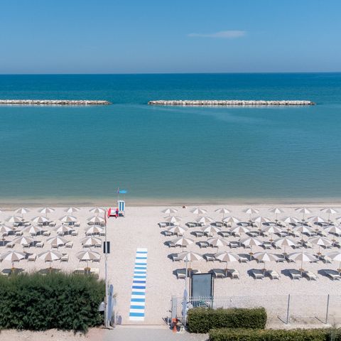 Le Mimose Family Resort Le Mimose Family Resort - Camping Fermo - Image N°6