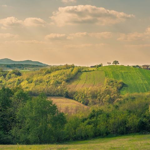 Wecamp Pinineos  - Camping Huesca - Image N°2