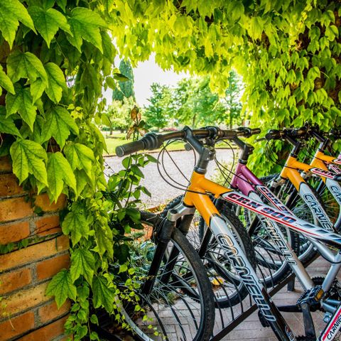 Glamping Tenuta Regina - Camping Udine - Image N°6