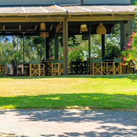 Trasimeno Glamping Resort  - Camping Pérouse - Image N°4