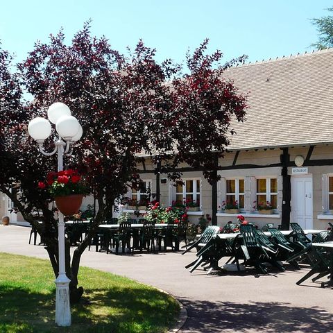 Camping Domaine de Sainte Montaine Camping Domaine de Sainte Montaine - Camping Cher - Image N°6