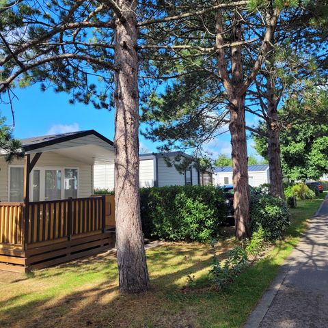 Camping La Foret Stella Plage - Camping Pas-de-Calais - Image N°5