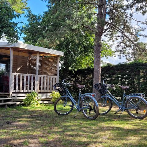 Camping La Foret Stella Plage - Camping Pas-de-Calais - Image N°6