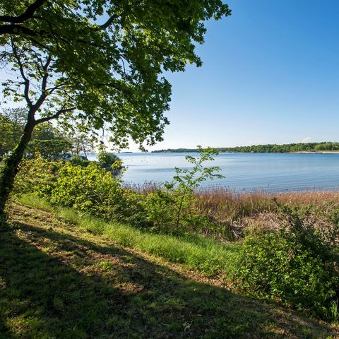 Camping Puntica Camping Puntica - Camping Istrie - Image N°3