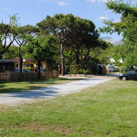 Camping Dal Pino - Camping Massa-Carrara - Image N°2