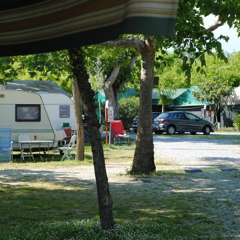 Camping Dal Pino - Camping Massa-Carrara - Image N°3