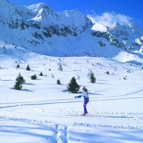 Camping Cevedale - Camping Trente - Image N°2