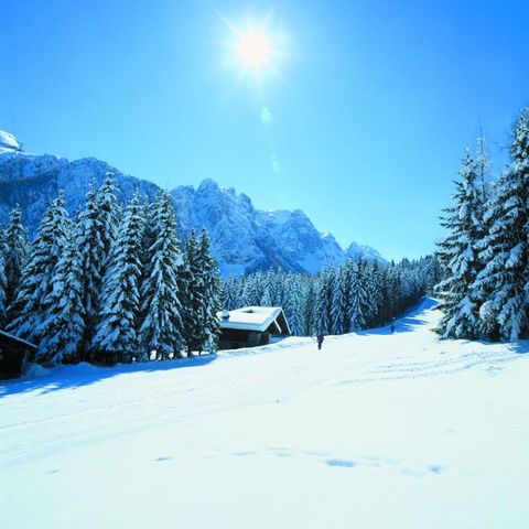 Camping Cevedale - Camping Trente - Image N°3