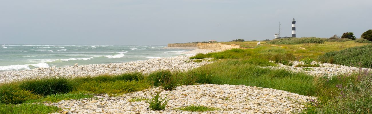 Campings île d'Oléron
