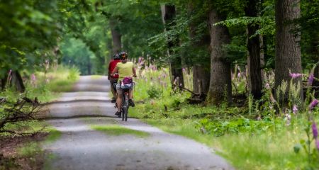 Campings avec location de vélo