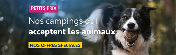 Sélection animaux acceptés